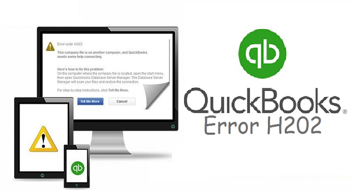 Quickbboks error code H202