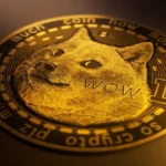 dogeco