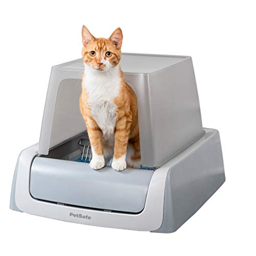 Travel Litter Boxes for Cats