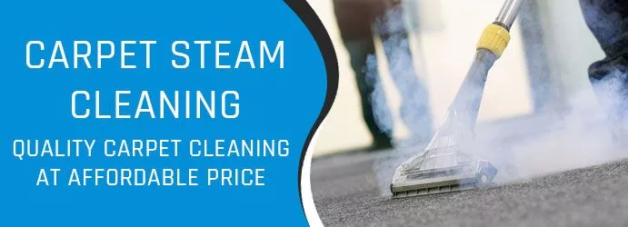 How Steam Carpet Cleaning Can Help You