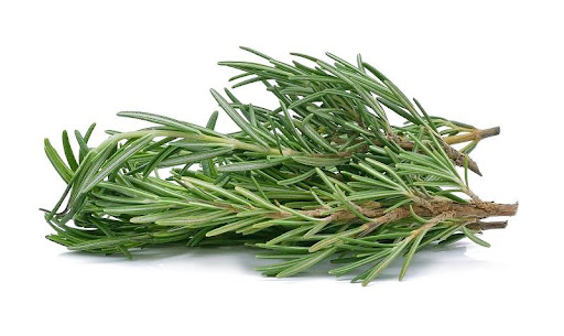 What is Rosemary?