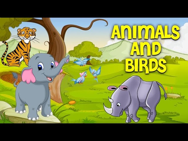 Teaching the Names of Animals and Birds