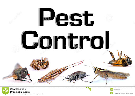 Important Types of Pest Control