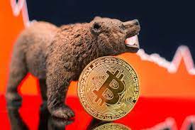 Is Crypto in a Bear Market?