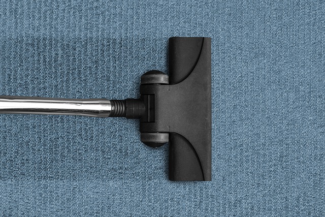 A Must Know Guide To Carpet Cleaning from NoBroker Carpet Cleaning Expert in Delhi