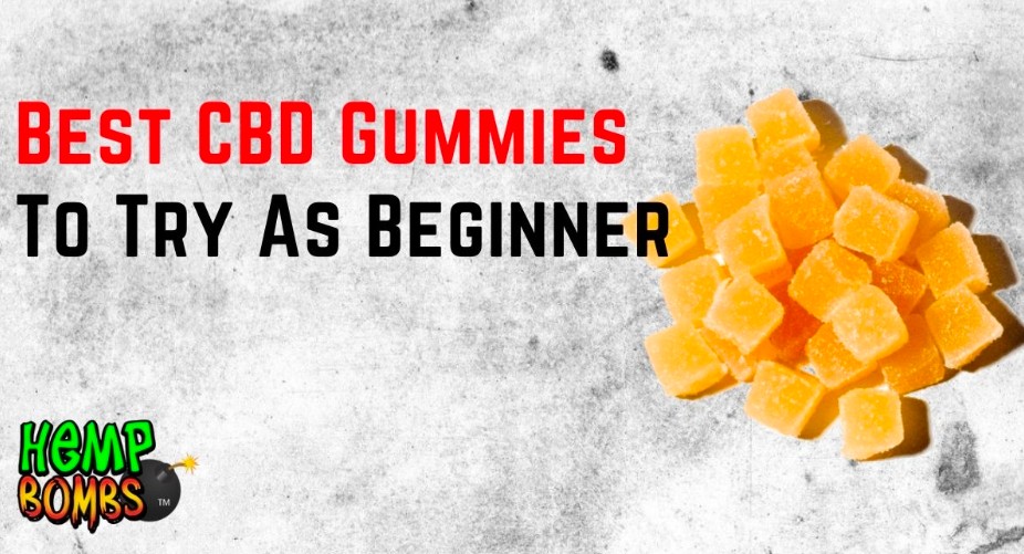 Best CBD Gummies To Try As Beginner