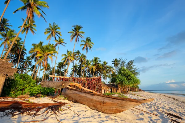 Zanzibar & Tanzania Excursions: The Best Way To Spend A Tanzanian Holiday