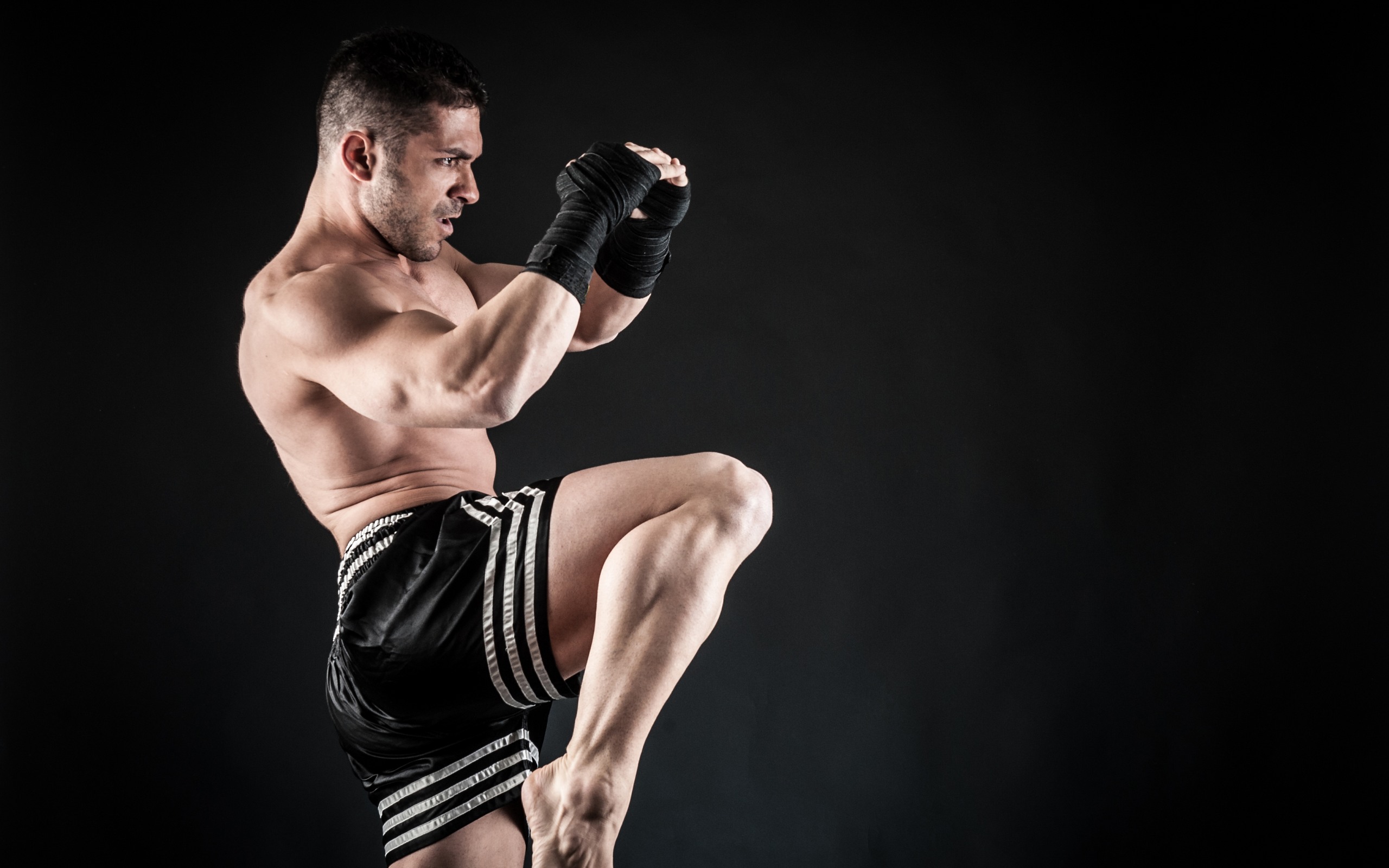 How is kickboxing different from other martial arts?
