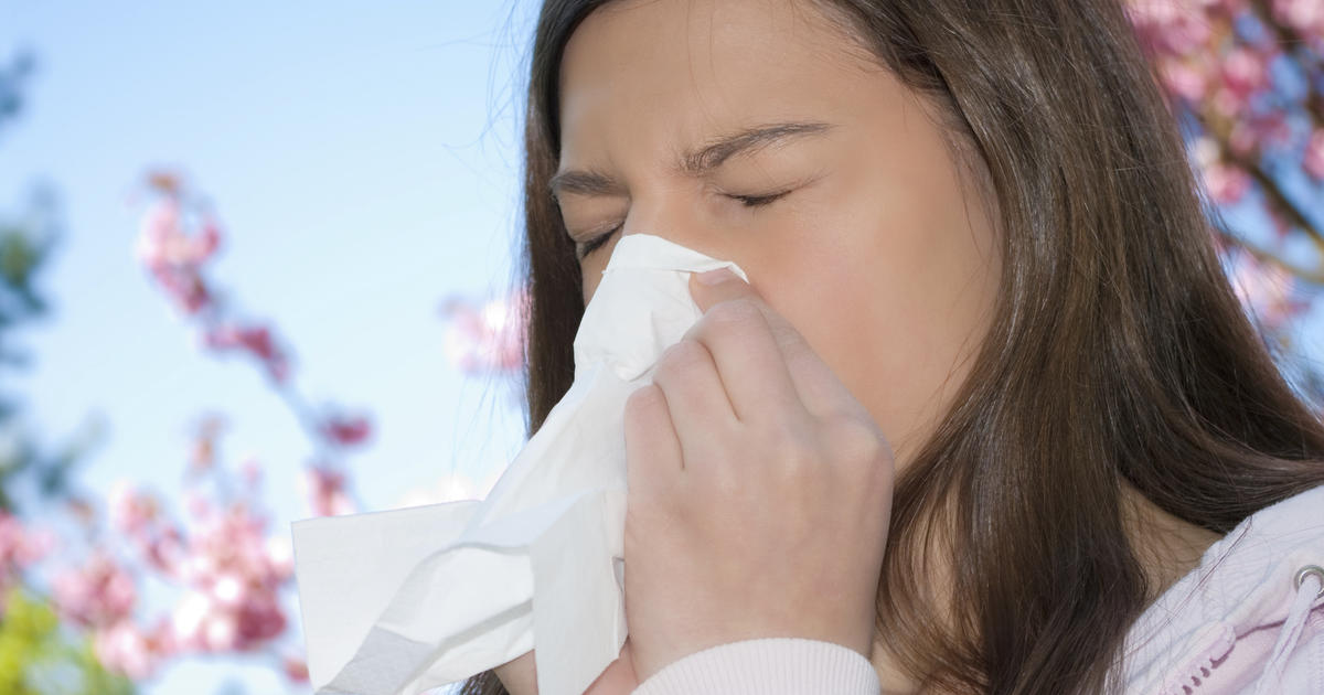The Complete Guide to Allergies (And What They Do to Your Body)