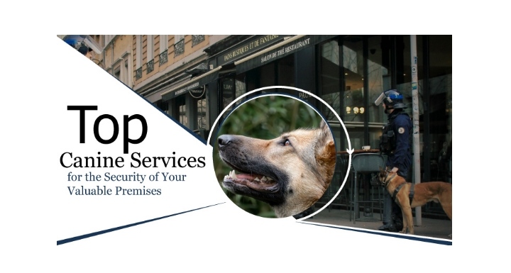 Top Canine Services for the Security of Your Valuable Premises