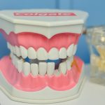 Teeth