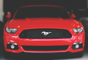 Mustang History Everything You Need to Know