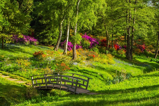 Tips For Garden Landscaping: The Ultimate Guide