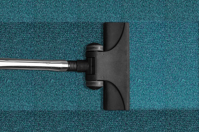 The Top 5 Mistakes to Avoid When Choosing a Professional Carpet Cleaning Company