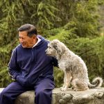 Health Problems for Older Dogs