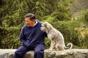 Common Health Problems for Older Dogs