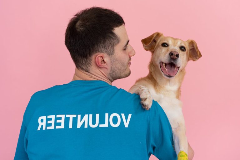 5 Benefits Of Routine Blood Work For Pets Of All Ages