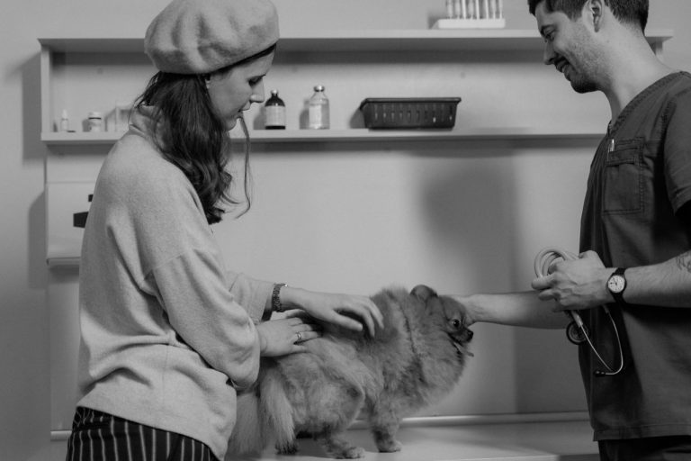 Why Early Detection Matters In Pet Wellness Pet Wellness