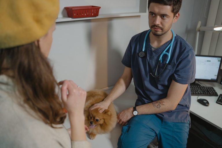 Why More Communities Are Opening Dedicated Veterinary Urgent Care Clinics Why More Communities Are Opening Dedicated Veterinary Urgent Care Clinics