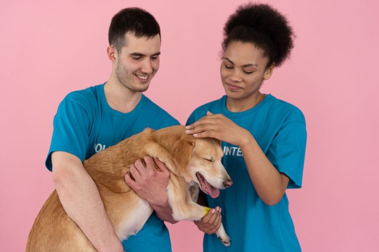 How Pet Dental Care Prevents Systemic Illness