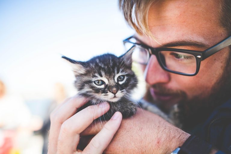5 Questions Pet Owners Should Ask Their Animal Clinic