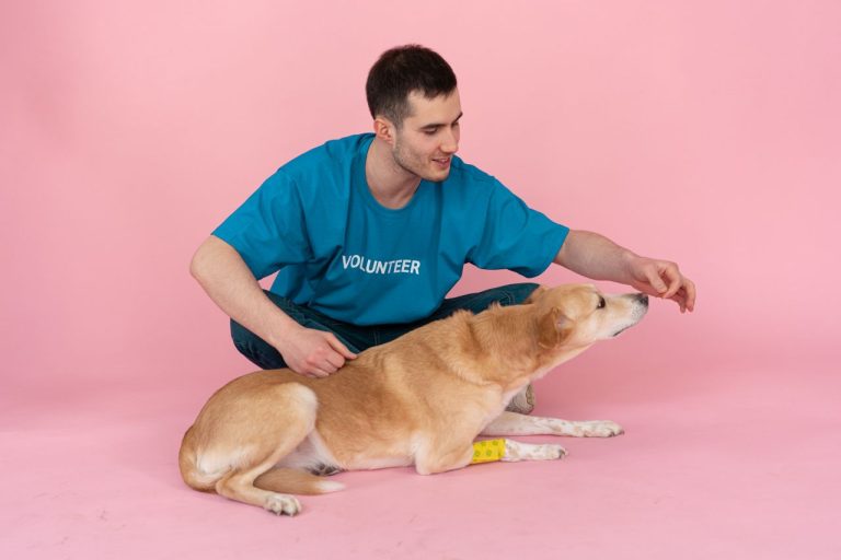 How Animal Clinics Train Staff For Compassionate Pets Care