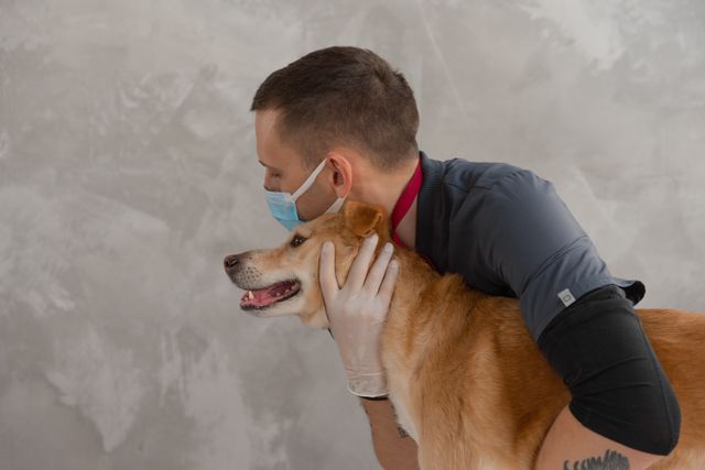 Why Preventive Education From Veterinary Clinics Helps Owners